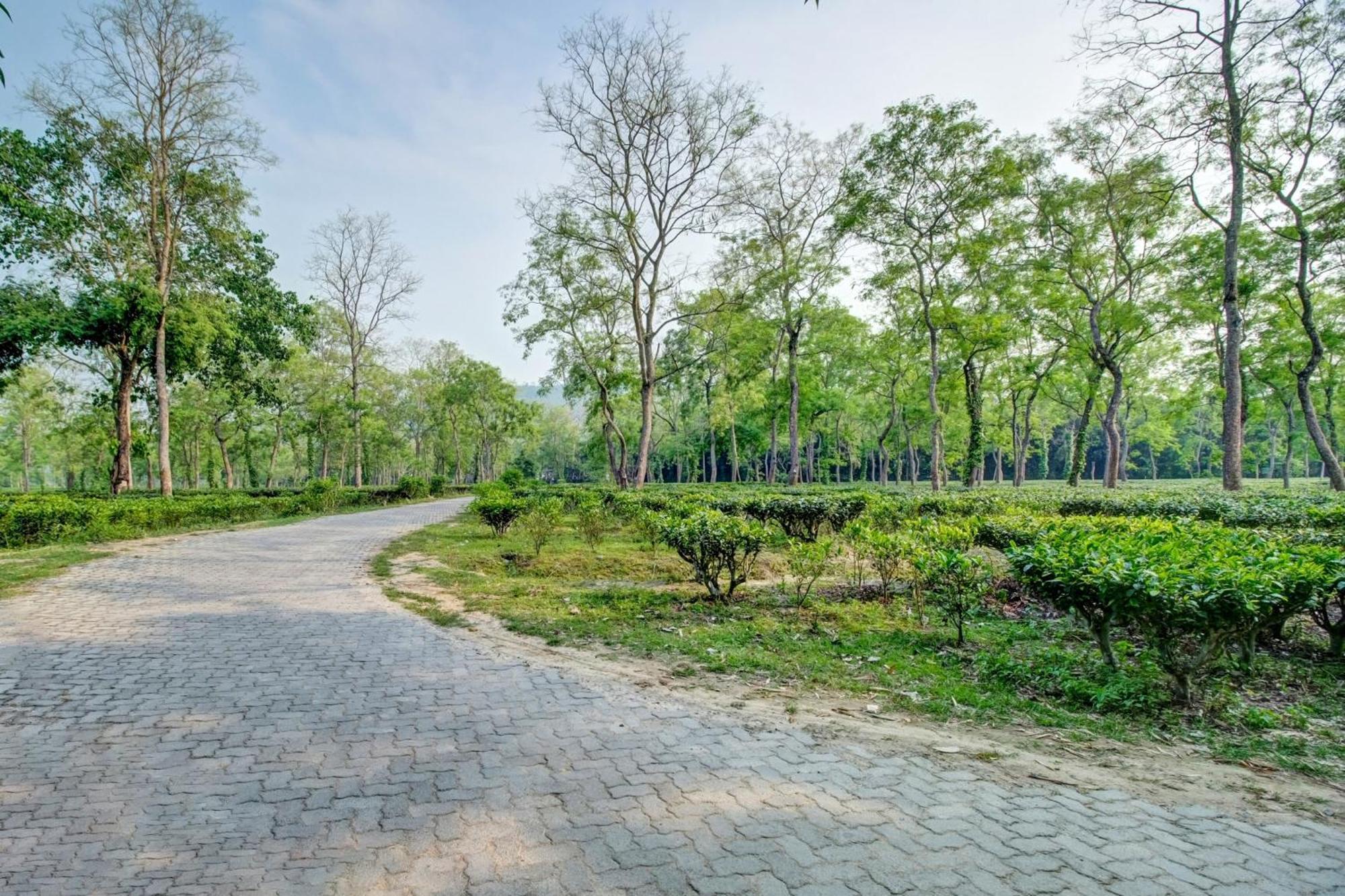 Hotel O Heritage Nest Resort Kazirnga Казіранґа Екстер'єр фото